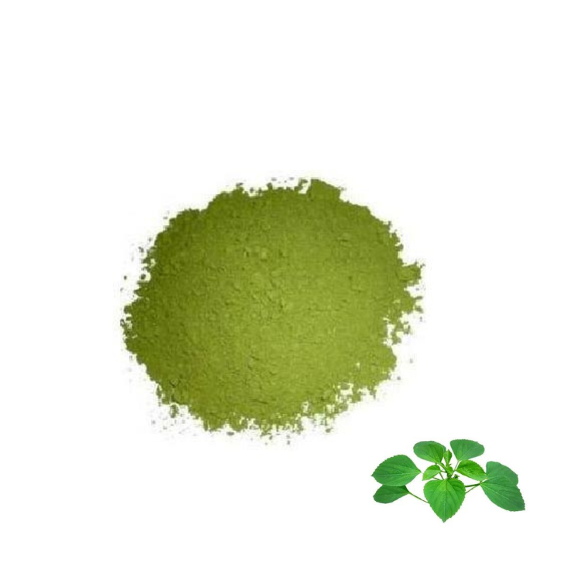 Kuppaimeni Leaf Powder 100 Grams