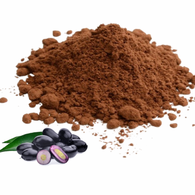 Jamun Seed Powder  - 250 gram