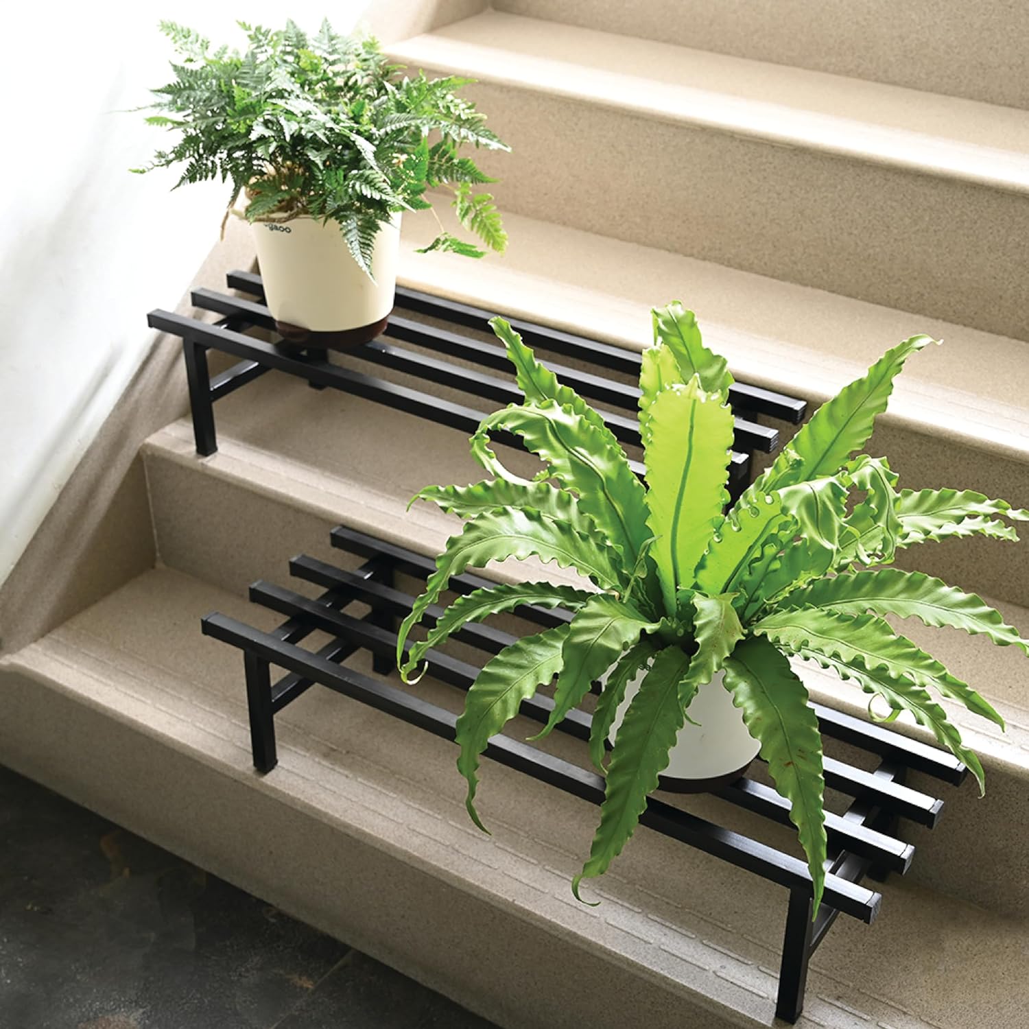 Agroshoppy Heavy-Duty Square Plant Stand (Set of 2) for Balcony, Home Decor, Indoor & Outdoor