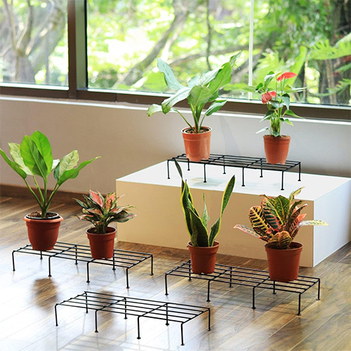 Set of 4 Plant Stands for Balcony, Living Room Stands for Outdoor & Indoor Plants(24 Inch)